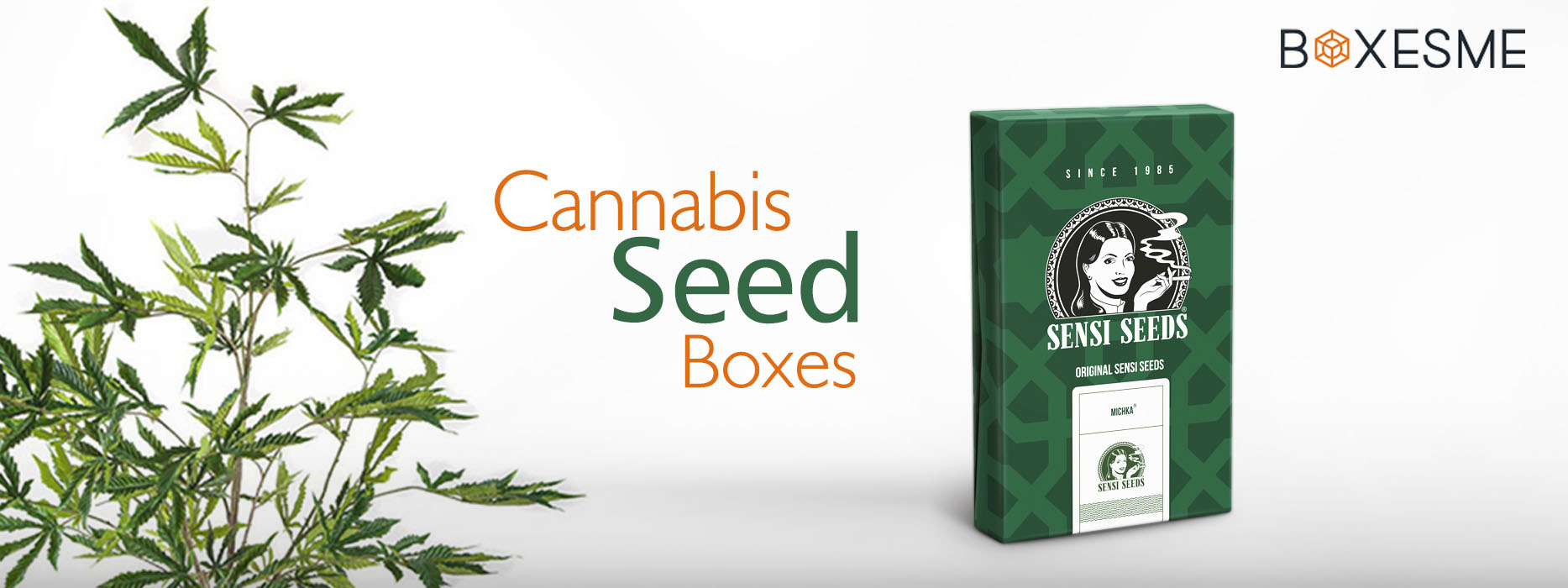What is the interesting aspect of using Cannabis Packaging